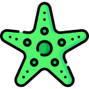 estrella de mar icon