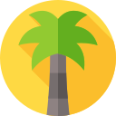 palmera icon