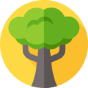 Árbol icon