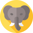 elefante icon