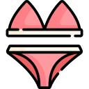 bikini icon