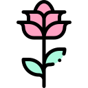 rosa icon