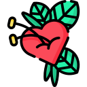 corazón icon