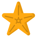 estrella de mar icon