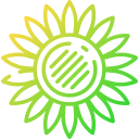 girasol icon