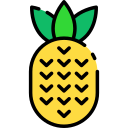 piña icon