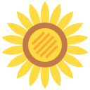 girasol