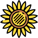 girasol