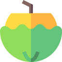 bebida de coco icon