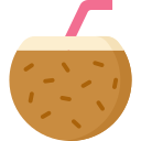 bebida de coco icon