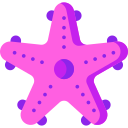 estrella de mar icon