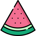 wassermelone icon