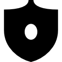 seguridad icon