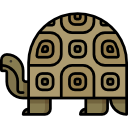 tortuga icon