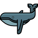 ballena icon