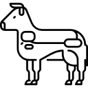 vaca icon