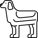 perro icon