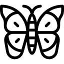 mariposa icon