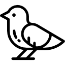 pájaro icon