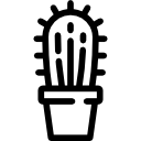 cactus icon