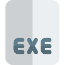 exe 