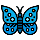 mariposa