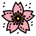 sakura icon