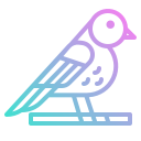 pájaro icon