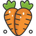 zanahorias icon