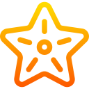 estrella de mar icon