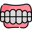 dentadura postiza icon