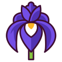 iris icon