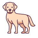 labrador retriever icon