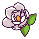 magnolia icon