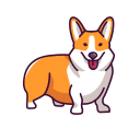 corgi 