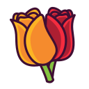 tulipanes icon