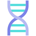 estructura de adn icon