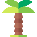 palmera icon