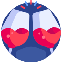 vino icon