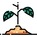 maceta icon