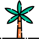 palmera icon