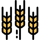 trigo icon