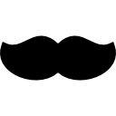 bigote icon