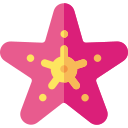 estrella de mar