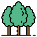 bosque icon