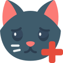 gato icon