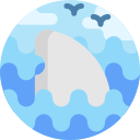 tiburón icon