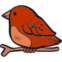 pájaro icon