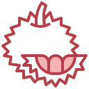 durian icon