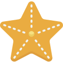 estrella de mar